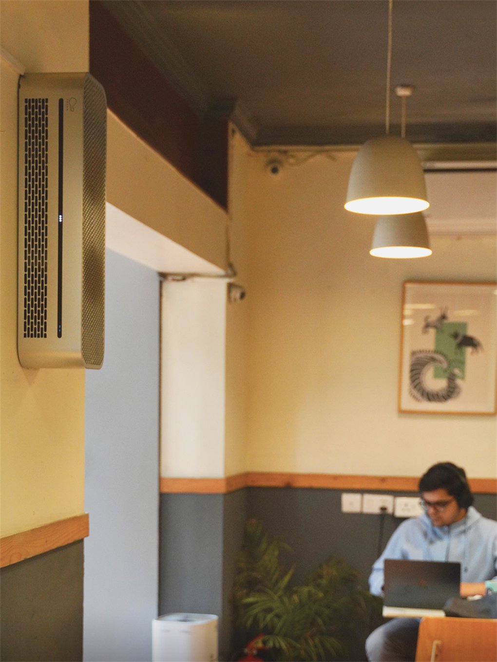 HIVE wall-mounted in a cafe while a customer works on a laptop