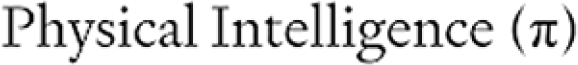 Physical Intelligence (π)